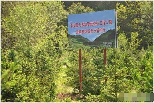 山林地被定性為自然林后的開發限制與應對策略