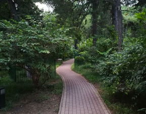 北京林業大學游覽全攻略 門票、地址、路線與工業風景點探索