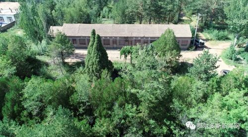 林業老兵黃達來的綠色情懷